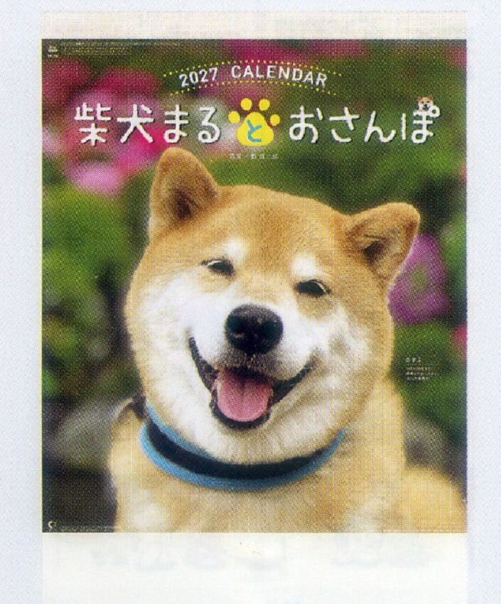 2027年NKカレンダー柴犬とおさんぽ