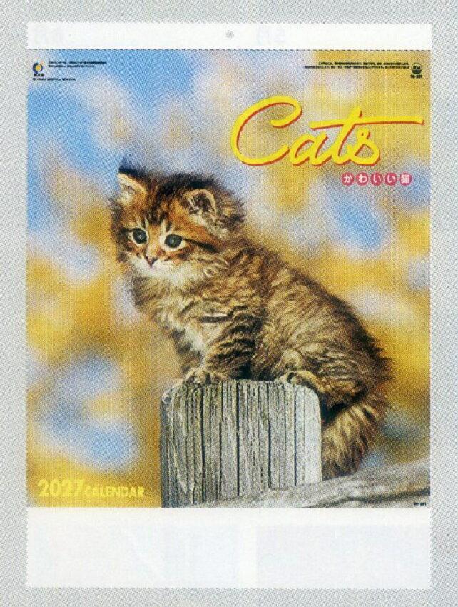 Rakuten - 2027年HIカレンダー　かわいい猫　早出出品価格