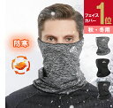 フェイスカバー マスク フェイスマスク 防寒 マスク 暖かい 防寒マスク ネックウォーマー 保温 冬用 防風 ネックガード 防寒対策 首巻き 洗える 日よけマスク レディース メンズ スキー スノーボード アウトドア 登山 旅行 秋 冬