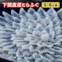 ふぐ 送料無料 早割 お取り寄せグルメ とらふぐ刺身セット(34cm皿) ふぐ刺身 御祝 内祝 ギフト 送料無料