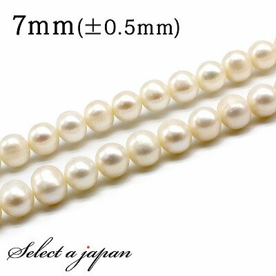 【ほぼ全品P20倍!12月3日19時59分まで】 「1連 15cm」 淡水パール 7mm 真珠 パール バラ売り 連売り ビーズ 穴あき ばら売り アクセサリー...