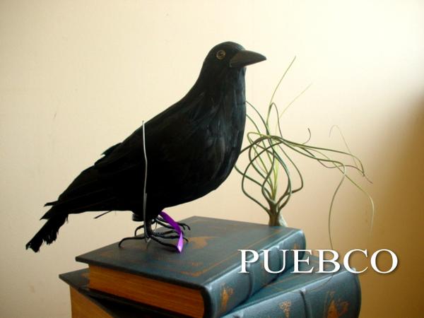 ☆PUEBCO(プエブコ) Crow(L) L320 リアルなカラスオブジェ ☆PUEBCO(プエブコ) Crow(L) L320 リアルなカラスオブジェ