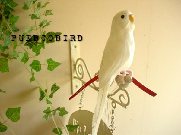 ☆PUEBCO プエブコ Budgie ホワイト セキセイインコ リアルバード /鳥雑貨通販【RCP】