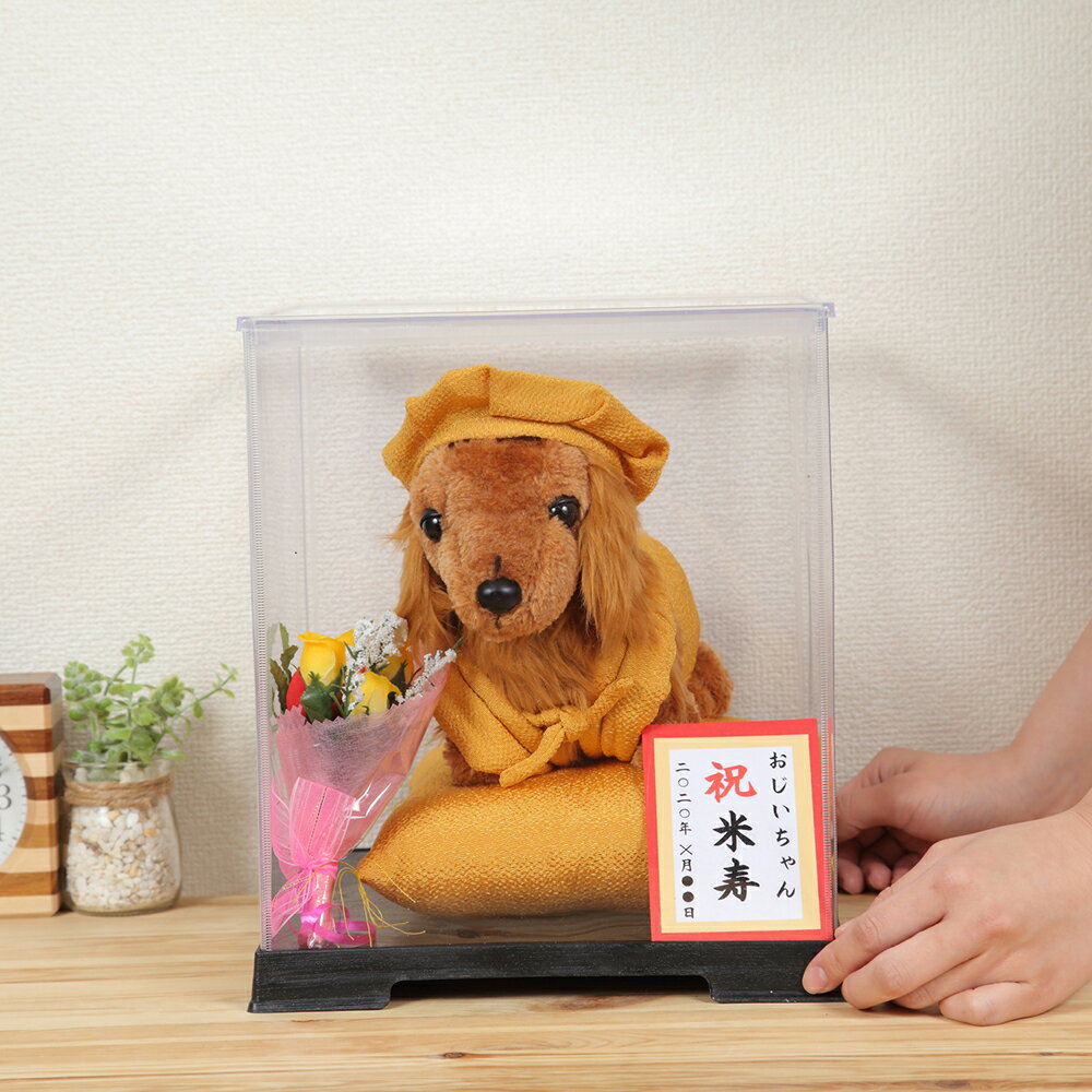 全ての 日本製 米寿のお祝い プレゼント ミニチュアダックス ぬいぐるみ ちゃんちゃんこ ３色 新発売の Www Ugtu Net