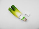 食品サンプル USBメモリー(8GB) 白ネギ