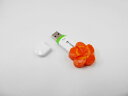 食品サンプル USBメモリー(8GB) 花人参B