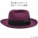 中折れハット メンズ 秋冬 ハット レディース ウール中折れハット ワインレッド 紫 父の日 紳士 レディース 母の日 婦人 ギフト 男女兼用 帽子 NK-4【...