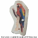 国産 日本製 ルッチョラ lucciola ブローチ オウム 鳥 メンズ 父の日 紳士 レディース 母の日 婦人 ギフト 子供 キッズ ジュニア 男女兼用 春夏...
