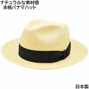 パナマ帽 パナマハット メンズ エドハット EDHAT 本パナマハット ベージュ つば広 UV ゴルフ 夏用 天然 父の日 紳士 レディース 母の日 婦人 ギフ...