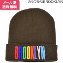 子供 キッズ ジュニア ニット帽 毛糸の帽子 ブラウン 茶 防寒 帽子 秋冬 7771002【1000円ポッキリ 送料無料】【メール便】