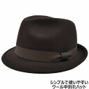 ウール中折れハット ブラウン 茶 メンズ 父の日 紳士 レディース 母の日 婦人 ギフト 男女兼用 帽子 秋冬 TCC2024-2【あす楽対応 希望者オマケ付】