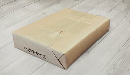 パミス＜150kg＞　はがき(100×148mm)　500枚　【送料無料】