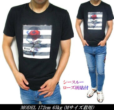 Tシャツ メンズ シースルー ローズ柄/貼付 花柄/薔薇/バラ ボーダー 半袖 トップス