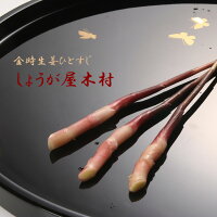楽天市場 木村農園の国産金時生姜を販売 粉末 ジャムも しょうが屋木村 楽天市場店 トップページ 楽天市場 木村農園の国産金時生姜を販売 粉末 ジャムも しょうが屋木村 楽天市場店 トップページ