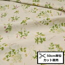 【P10倍★10/1ワンダフルデー限定】YUWA 有輪商店 シャーティング 生地 (50cm単位) 829671-D Love at first sight ハーブ 花 グリーン 布 ワンピース スカート パッチワーク バッグ 小物 インテリア ハンドメイド