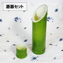 酒器セット とっくり ぐい呑み ぐい飲み おちょこ 日本製 若竹 食洗機対応 おしゃれ 父の日 冷酒 徳利 ぐいのみ 業務用漆器 越前漆器 プロ 割れない食器