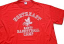 デッドストック★80s USA製 RUSSELLラッセル NORTHEAST HAWKS BASKETBALL CAMP マスコット Tシャツ 赤 XL★D