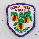 ビンテージ PEACH TREE STATE GEORGIA パッチ★ワッペン【中古】