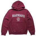 HARVARD XEFbgp[J[ Cbh S yÁz