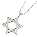 ペンダント ネックレス 六芒星 スター ヘッド レディース メンズ プラチナ900 大サイズ