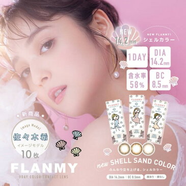 カラコン フランミー ワンデー 1箱10枚 度あり 度なし DIA14.5mm BC8.6mm 佐々木希 FLANMY 1day ナチュラル 送料無料 カラコン