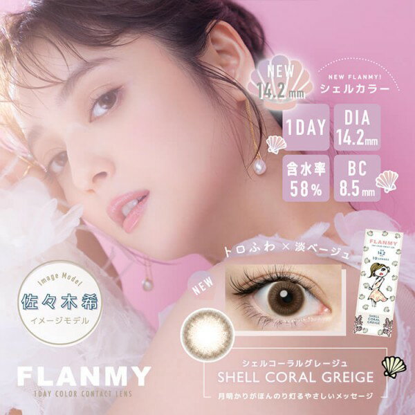 【4箱セット1箱30枚×4箱】 カラコン フランミー ワンデー 度あり 度なし DIA14.5mm BC8.6mm 佐々木希 FLANMY　1day ナチュラル 送料無料 カラコン