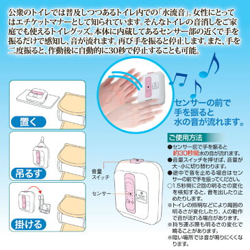 トイレの音消し ECOメロディ2 センサータイプ トイレ用擬音装置 消音 節水 流水音 メール便 送料無料