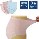 心地いい安心ショーツ 3色組 尿漏れパンツ 尿漏れショーツ 失禁パンツ 失禁ショーツ 女性用 吸水ショーツ 尿もれ ちょい漏れパンツ レディース 軽失禁ショーツ...