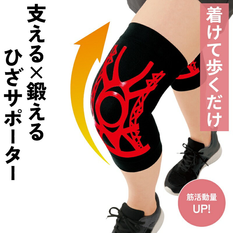 乐天商城 - 膝サポーター 織田式ひざを鍛えるひざサポーター 2枚入 男女兼用 膝痛 膝用 膝固定 膝痛サポーター 膝の痛み 膝痛い 膝関節 レディース メンズ メール便