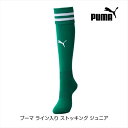 お取り寄せ プーマ ライン入り ストッキング ジュニア ペッパーグリーン