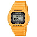 カシオ G-SHOCK サーフライダーファウンデーションジャパン G-5600SFJ-9JR 国内正規品【楽ギフ_包装】