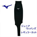 ミズノ 野球 ストッキング レギュラーカットモデル ネイビー ジュニア レディース mizuno 12JXBS2214 少年野球 ソフトボール 子供 ウィメンズ