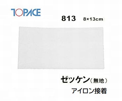 TOPACE（トップエース）ワンタッチゼッケン 813 名札 8×13cm アイロン接着 伸縮素材 無地 学校 体育着 水着 無地/台紙付 【ヤマト運輸/ネコポス発送】