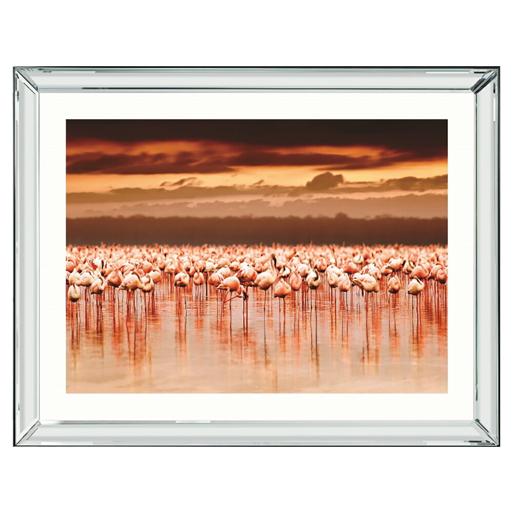 ブルックペース Brookpace Fine Arts ピクチャー アート (鏡面仕上げ 額縁 フレーム) フォトグラフィ マンハッタンコレクション Flamingo's フラミンゴ ISA451 イギリス製 正規輸入品