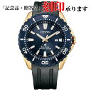 シチズン CITIZEN PROMASTER プロマスター BN0196-01L エコ・ドライブ メンズ クオーツ 長期保証5年付き