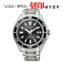 V`Y CITIZEN PROMASTER v}X^[ BN0190-82E GRhCu Y NI[c ۏ5Nt