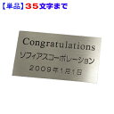 【単品】銘板/ネームプレート 35文字まで サイズ 80×45mm No.13 PT-35 【代引き不可・日時指定不可】【記念品・贈答品 名入れ】