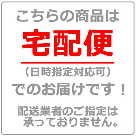 ジェジュン IN ボスを守れ スペシャルメイキング 【DVD】