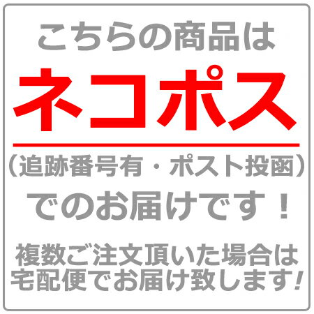 ジェジュン in コードネーム ジャッカル 君だけの癒し Making Film Part2 【DVD】