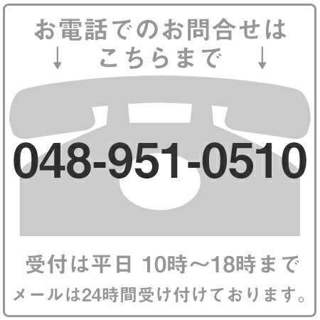 淀川長治生誕100年 特別企画 チャールズ チャップリン キーストン社時代 2 【DVD】【あす楽対応】