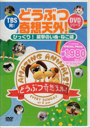 TBS発！どうぶつ奇想天外！DVDシリーズ びっくり！笑撃のいぬ・ねこ編 [DVD]