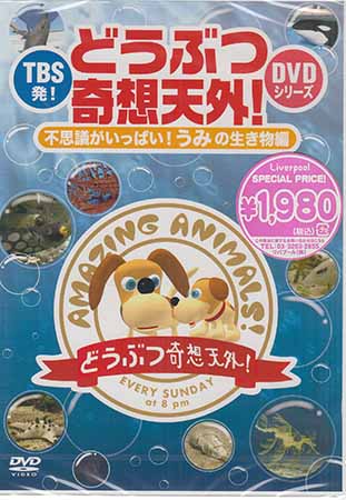 TBS発 どうぶつ奇想天外 DVDシリーズ 不思議がいっぱい うみの生き物編 [DVD]