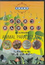 どうぶつおんがくかい あに★パラ★ずうANIMAL PARADISE ZOO [DVD]