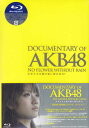 DOCUMENTARY of AKB48 NO FLOWER WITHOUT RAIN ͗܂̌ɉ? XyV GfBViBlu-ray2gj [Blu-ray]