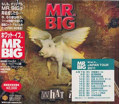 ホワット・イフ… ／ MR.BIG [CD]