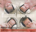 experience 初回限定盤 ／ flumpool CD DVD