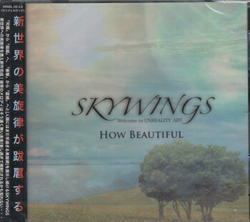 How Beautiful ／ SKYWINGS CD