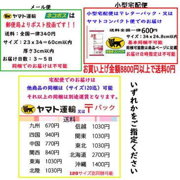 恐竜の化石チョコ　小袋に3gx50袋（福岡大塩するめ）