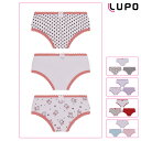 LUPO ルポ◆ブラジル ブラジルランジェリー ショーツ パンツ 下着 女児用 コットンショーツ ヘムレース 3枚セット リボン ドット柄 ウサギ パンダ 犬 アニマルプリント 無地 lp18100