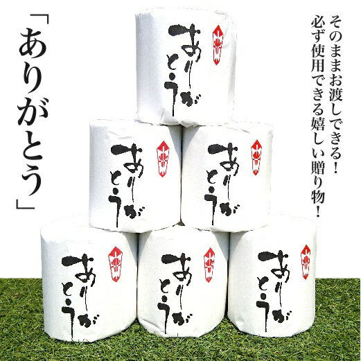 ڥå/꤬Ȥۥȥåȥڡѡ/ե///Źǰ/٥